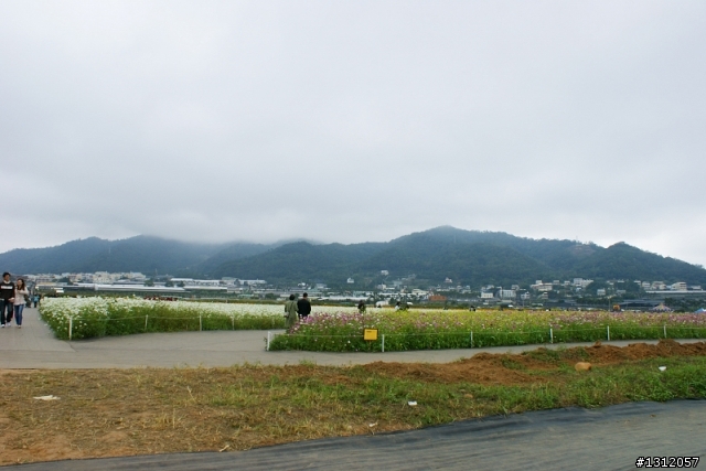 18-70-輕巧好用的標準鏡-攝*2009新社花海*