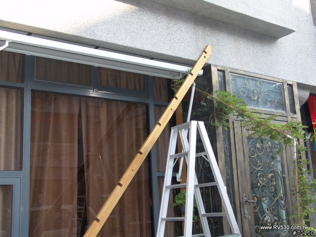 透天屋採光罩的替代方案-DIY的紫藤棚架 - 南方松應用說明
