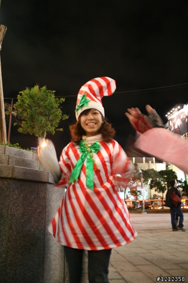 2009林北野貓賽照片區!