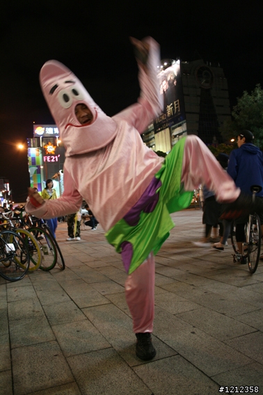 2009林北野貓賽照片區!