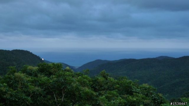 環半島四天三夜(高雄,台東,花蓮,埔里,高雄)合歡山結冰之旅~圖多,文多,影片多