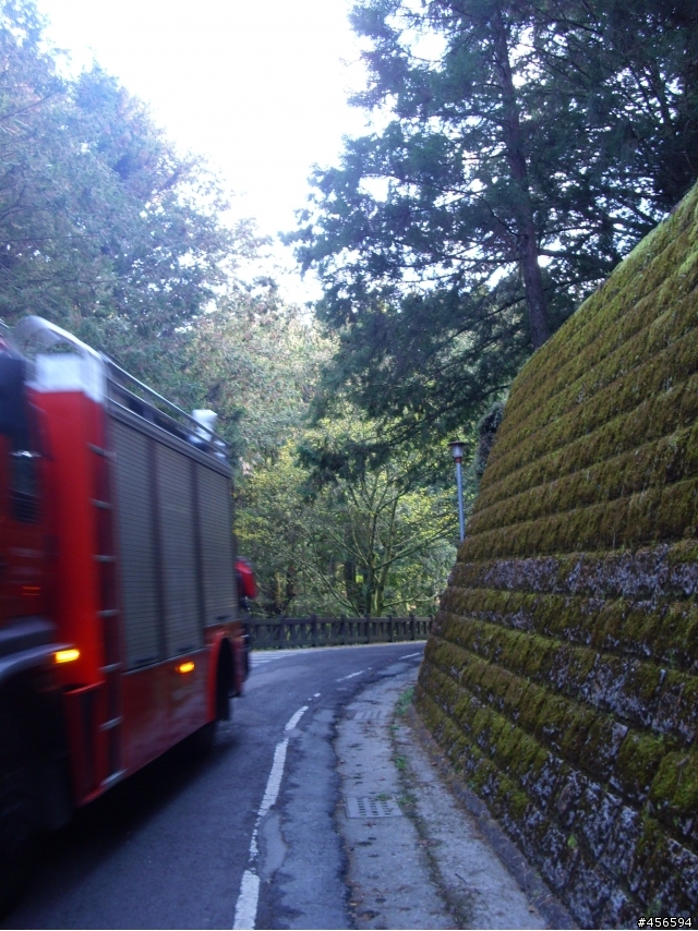 對不起我偷跑:2009冬至 新中橫-阿里山 (新增山林交響曲)
