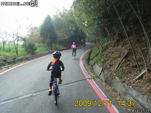 12/11在雲端騎車,初次挑戰大雪山林道,美不勝收
