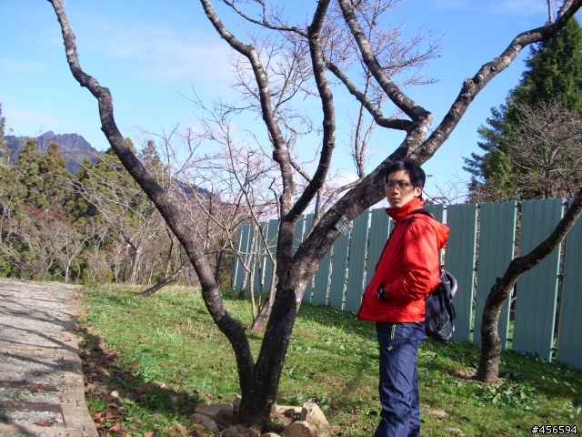對不起我偷跑:2009冬至 新中橫-阿里山 (新增山林交響曲)