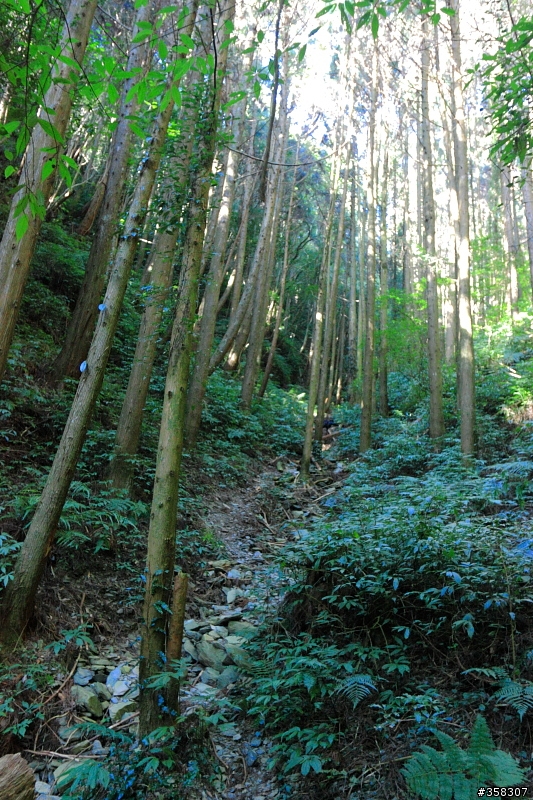 三來稜山