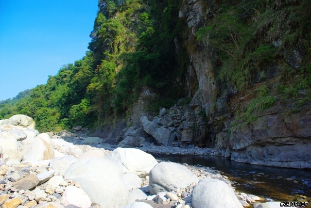 尋找楓葉:和平部落爬上羅山林道