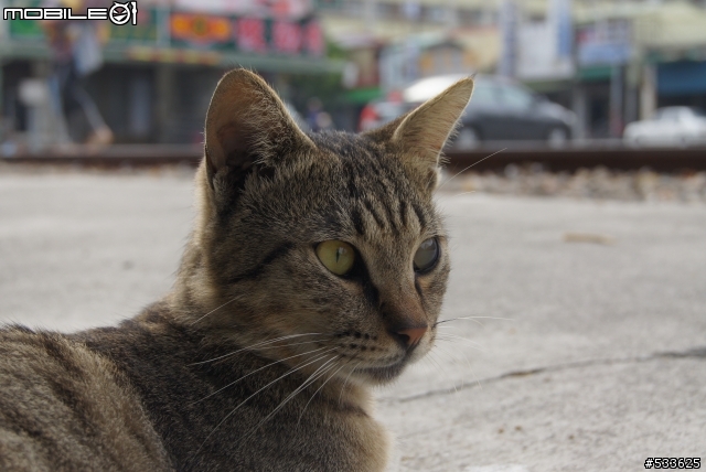 跟75-300mm+DT18-55mm的約會