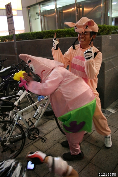 2009林北野貓賽照片區!