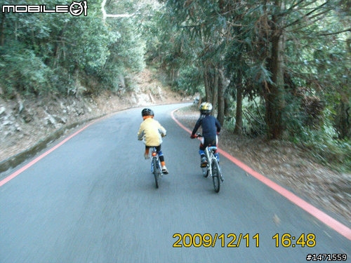 12/11在雲端騎車,初次挑戰大雪山林道,美不勝收