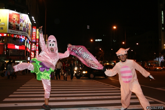 2009林北野貓賽照片區!