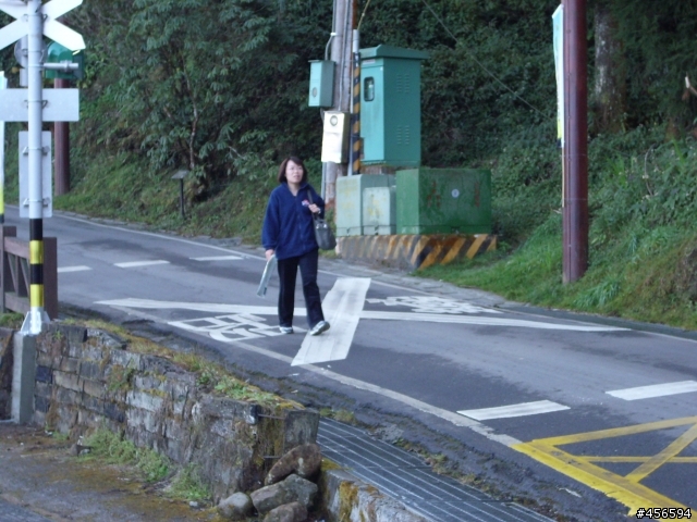 對不起我偷跑:2009冬至 新中橫-阿里山 (新增山林交響曲)