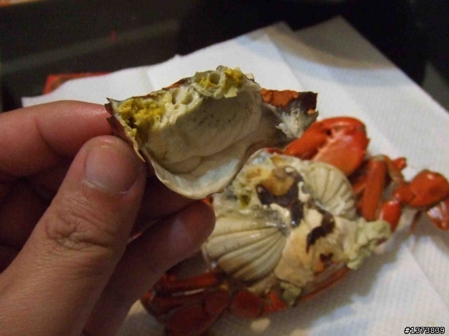 雙殼處女蟳之感動