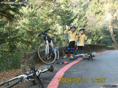 12/11在雲端騎車,初次挑戰大雪山林道,美不勝收