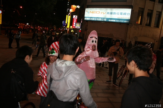 2009林北野貓賽照片區!