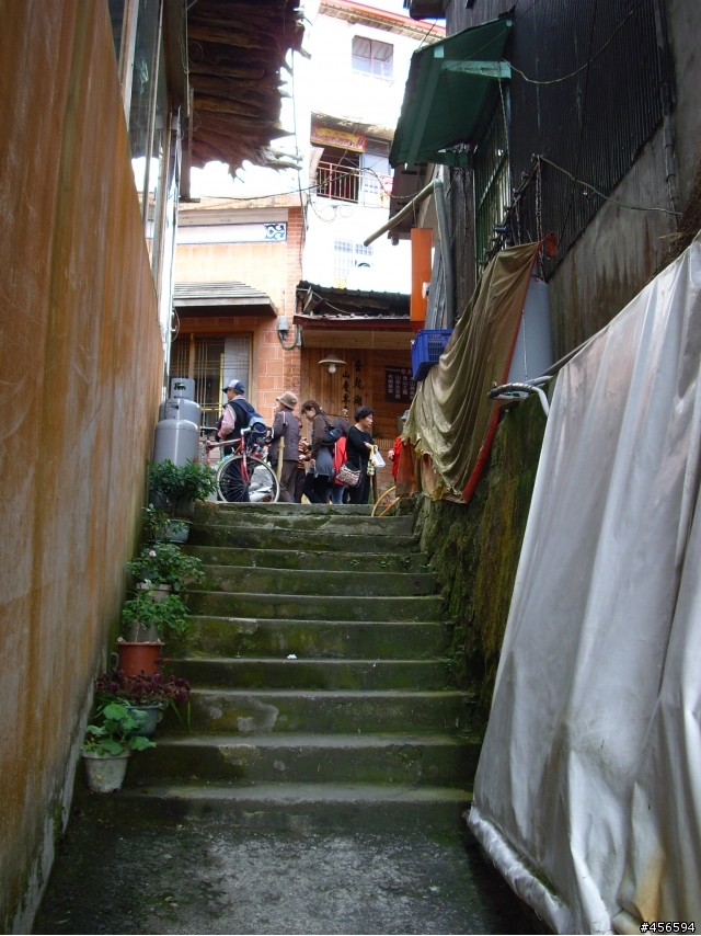 對不起我偷跑:2009冬至 新中橫-阿里山 (新增山林交響曲)