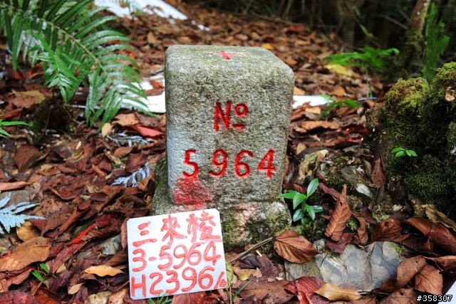 三來稜山