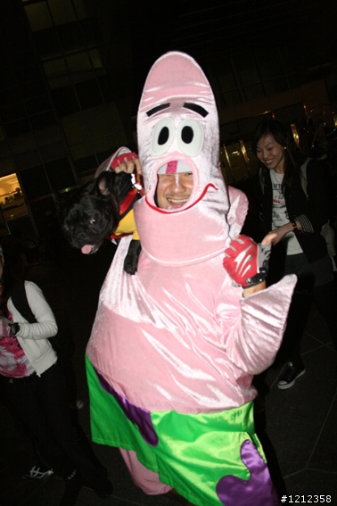2009林北野貓賽照片區!