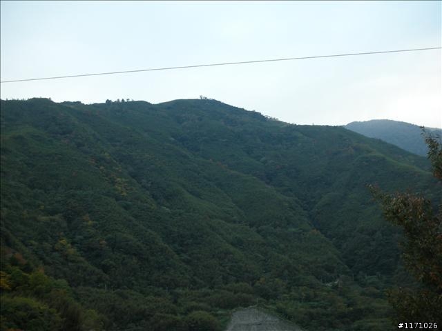 三度殘念的雙雙北(四北)