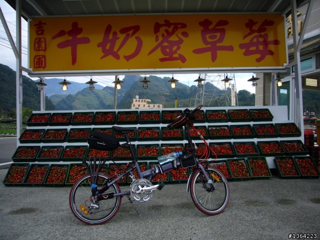 出發總是有個方向*走*大湖採草莓