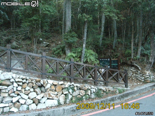 12/11在雲端騎車,初次挑戰大雪山林道,美不勝收