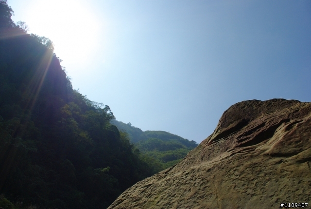尋找楓葉:和平部落爬上羅山林道