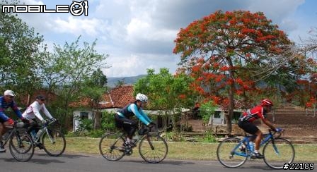 Bali Audax 2009 - 峇里島 長途單車挑戰活動410km - Audax Club Parisien