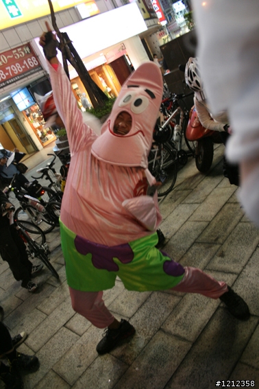 2009林北野貓賽照片區!
