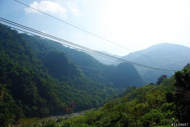 尋找楓葉:和平部落爬上羅山林道