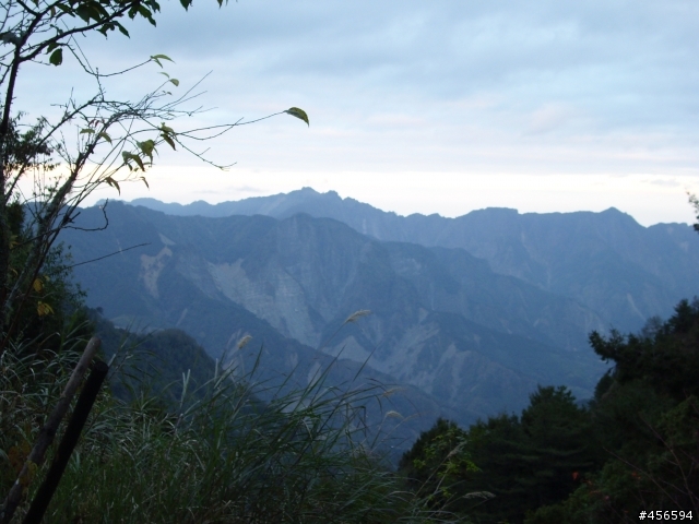 對不起我偷跑:2009冬至 新中橫-阿里山 (新增山林交響曲)