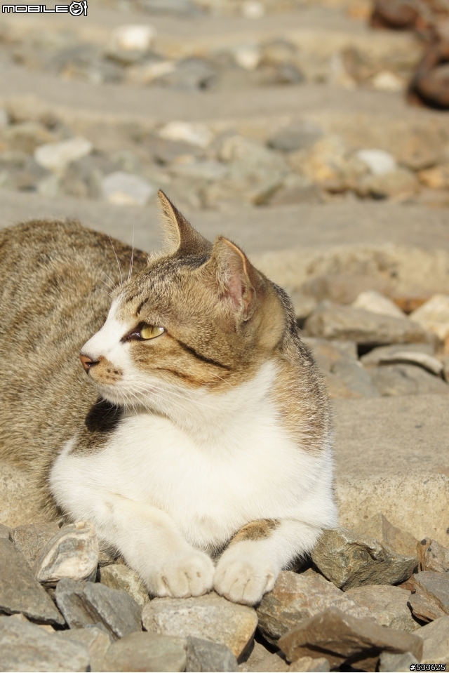 跟75-300mm+DT18-55mm的約會