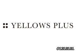 Yellows plus 手工眼鏡 2010年【威靈頓、波士頓 】初登場