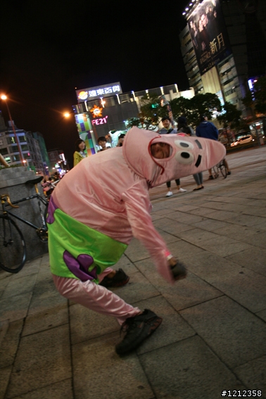 2009林北野貓賽照片區!