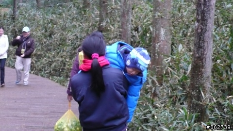 貓頭鷹肚咕家族-張家界自駕遊3358公里(第一~四集)