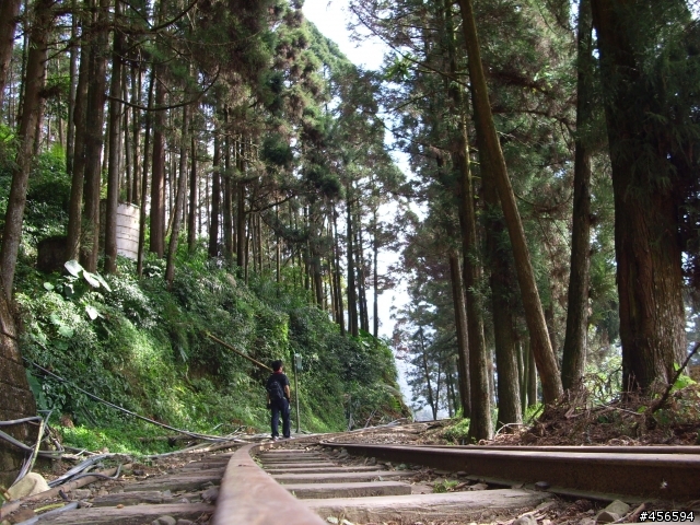 對不起我偷跑:2009冬至 新中橫-阿里山 (新增山林交響曲)