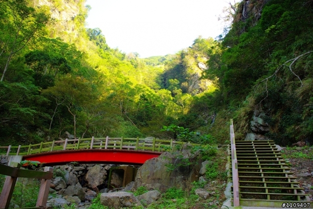 尋找楓葉:和平部落爬上羅山林道