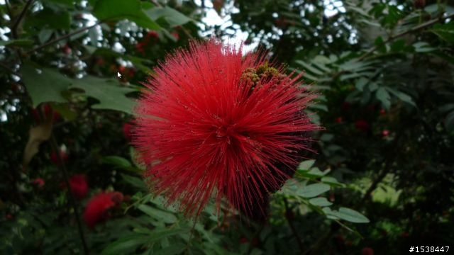 環半島四天三夜(高雄,台東,花蓮,埔里,高雄)合歡山結冰之旅~圖多,文多,影片多