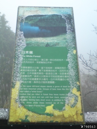 太平山的銀色世界...非關單車啦XD
