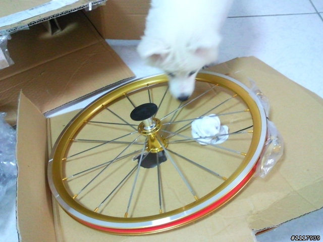 銳變的小摺HASA F1 改車中學知識