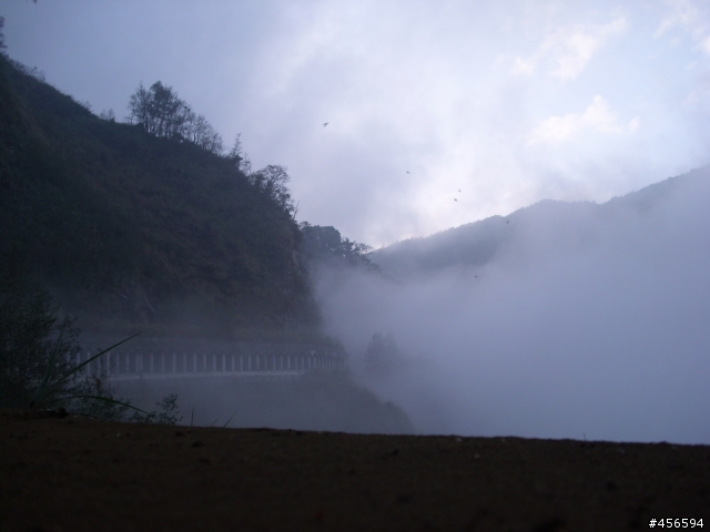 對不起我偷跑:2009冬至 新中橫-阿里山 (新增山林交響曲)
