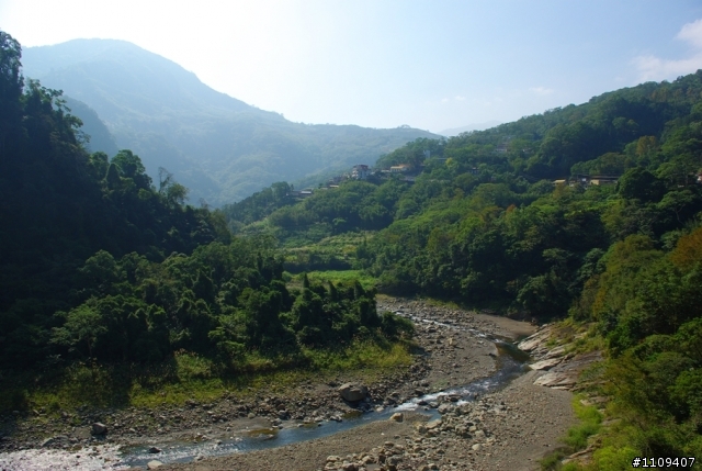 尋找楓葉:和平部落爬上羅山林道