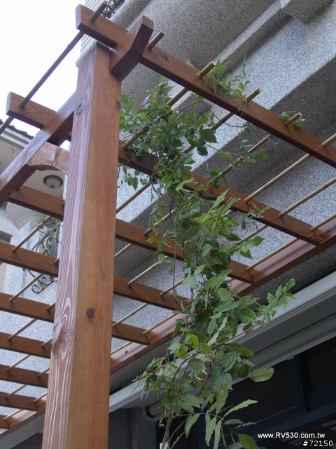 透天屋採光罩的替代方案-DIY的紫藤棚架 - 南方松應用說明
