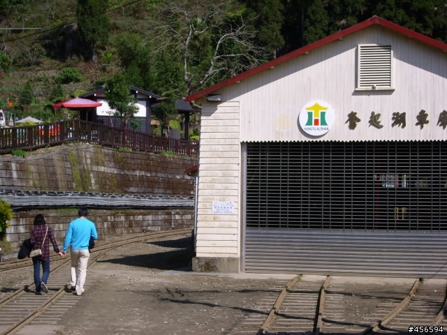 對不起我偷跑:2009冬至 新中橫-阿里山 (新增山林交響曲)