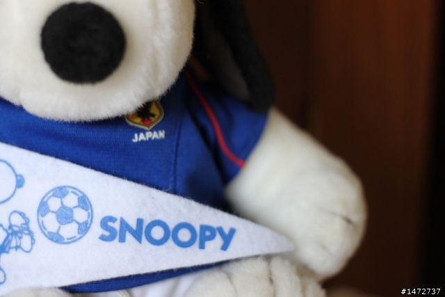 小弟的snoopy收藏…