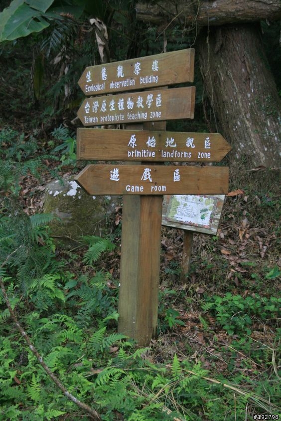 ☆霧鎖山林雲隱天,溪頭賞景練身體☆(二)木造屋~內湖國民小學