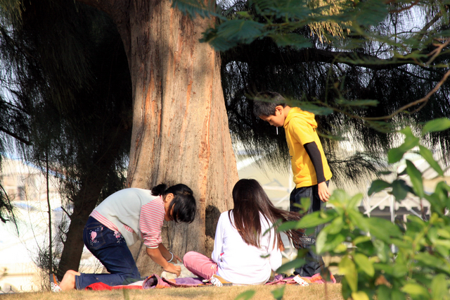 【分享】Canon EF-S 55-250mm IS @ 台南永康公園