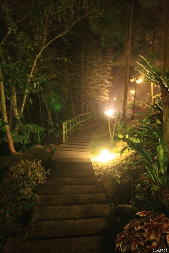 ☆霧鎖山林雲隱天,溪頭賞景練身體☆(四)嚇鼠倫~新明山渡假飯店