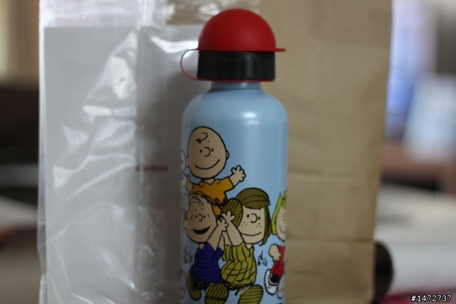 小弟的snoopy收藏…
