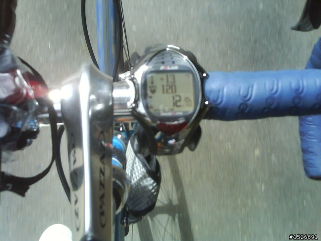 2010元旦單車騎上阿里山發現塔塔加風景之美不勝收!