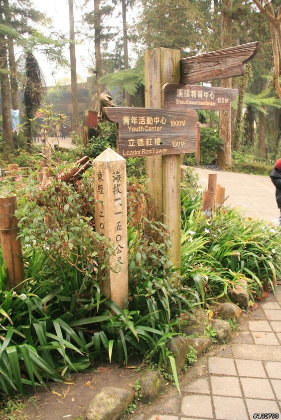 ☆霧鎖山林雲隱天,溪頭賞景練身體☆(三)強身健體~溪頭森林遊樂區