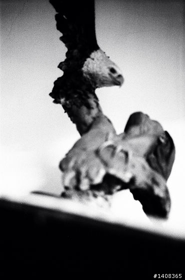 LC-A+ 富士 NEOPAN 1600 黑白粗顆粒相片